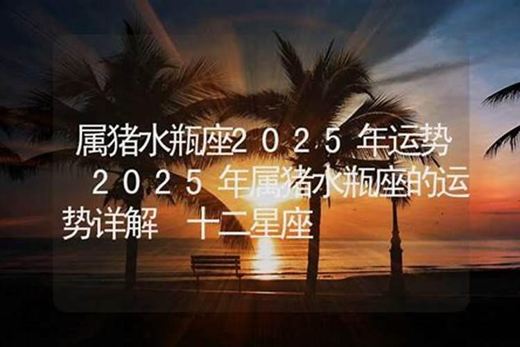 生肖虎2025年运势及运程