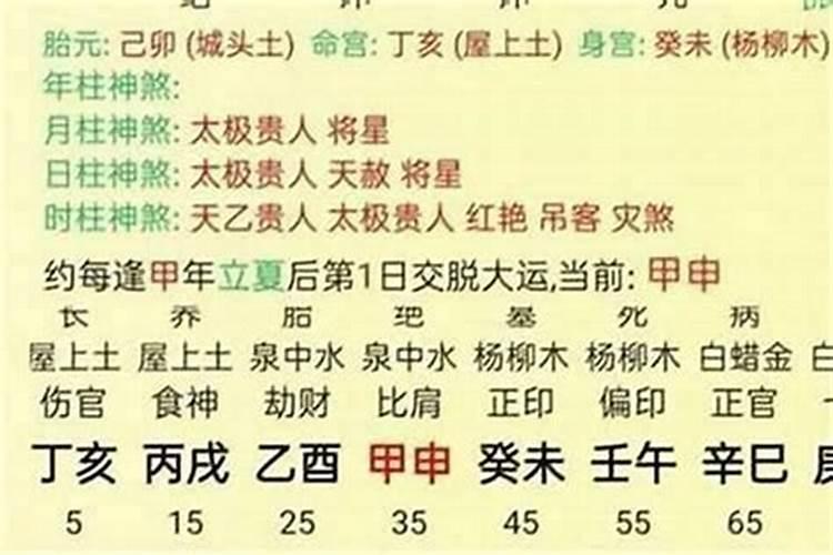 2025属兔结婚最佳月