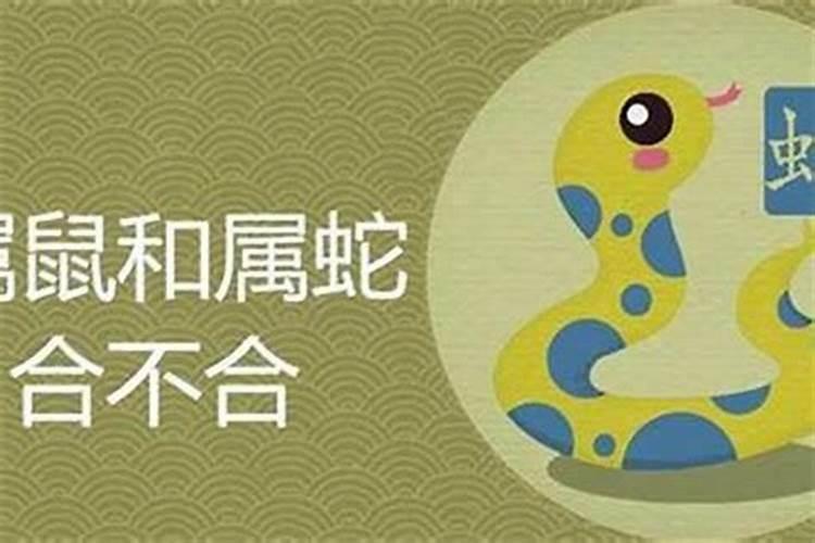 1977年属蛇女士[48岁]2025年运势全解析,月月带来成功的秘诀