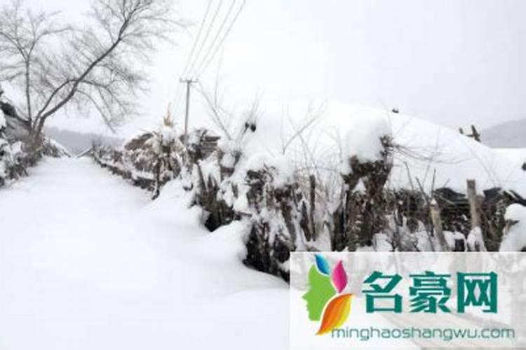 属虎人几月出生最不好