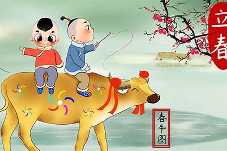 今年几点几分立春