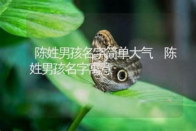 2025年正北方破财位如何化解