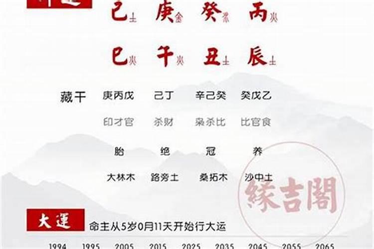 丁巳日命中注定的配偶 适配日柱分析