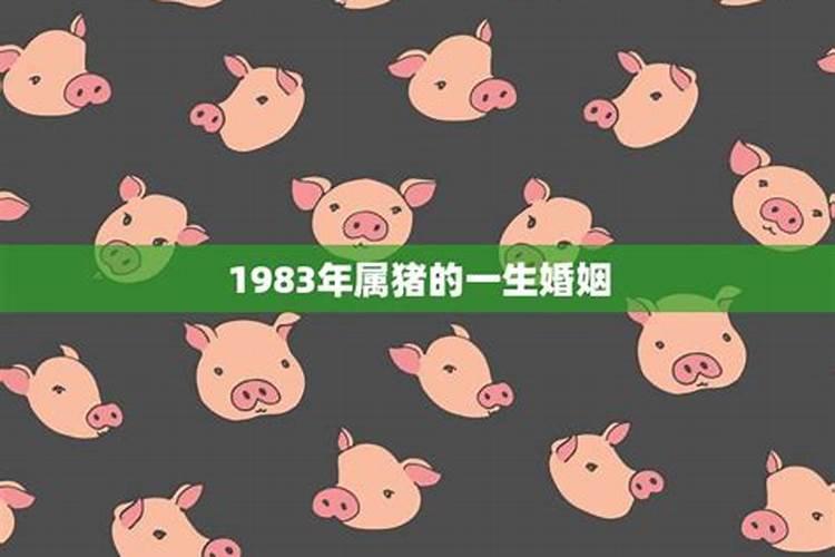 83年属猪一生的命运 83年猪40岁后十年大运运程