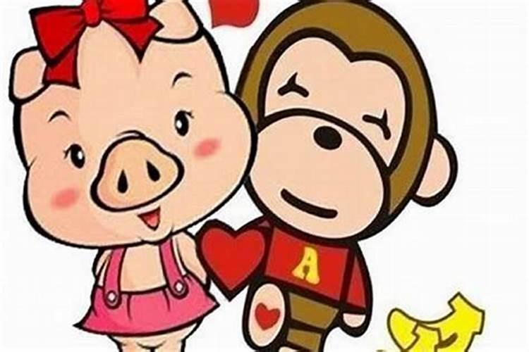 属猪和属猴相配婚姻不到头 生肖六害运势不稳