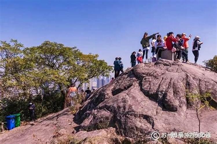 泰山童子为什么不能怕泰山
