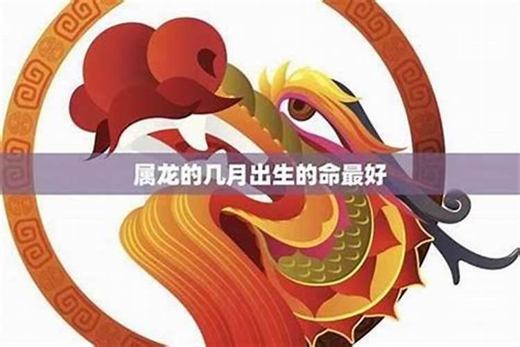 62年属什么生肖 1962年出生属什么生肖