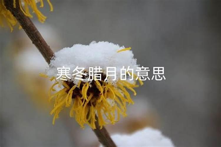 每年清明节是几月几日