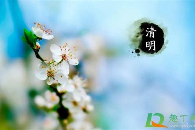 八字查仙缘佛缘道缘
