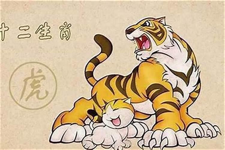 98年虎本命年领证真的不吉利吗