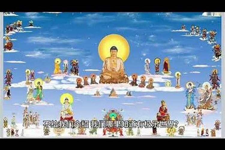 1977蛇女的后半生 1977蛇女的晚年