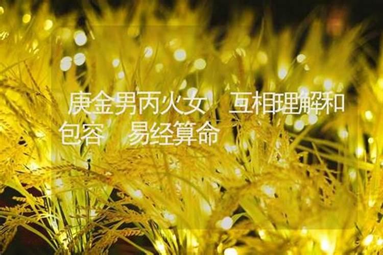 丙火女与辛金男结婚,是很恩爱吗