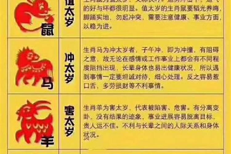 属蛇的今年可以去扫墓吗