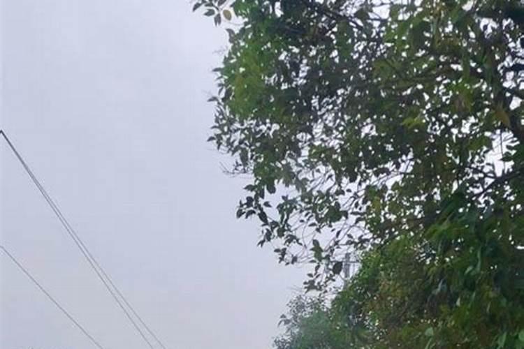 梦见别人掉进深水中的预兆