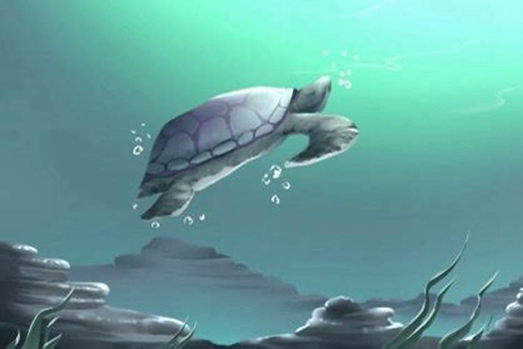 梦见水里有乌龟好不好 梦见乌龟在水里啥意思