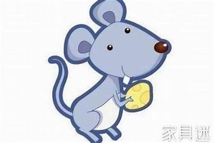 腊八节有什么风俗禁忌腊八节有什么讲究忌讳