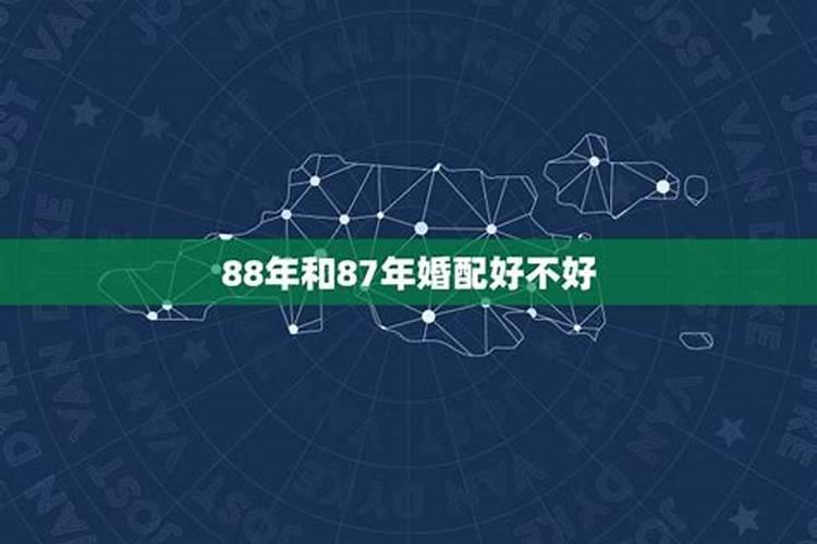 属兔和属龙的相配吗 87年女兔88年男龙婚配