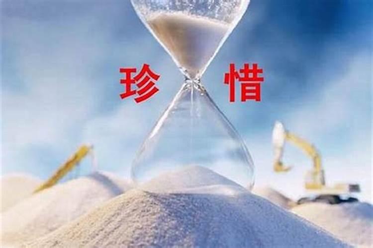 属猴的人2024年的运势及运程