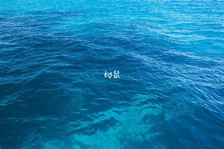 冬至时节吃汤圆是哪里的习俗
