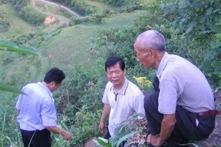 有哪些在上海南汇一日游的攻略分享？