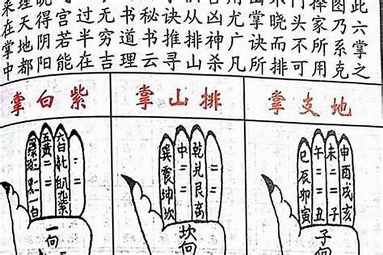 杭州端午节哪里有赛龙舟