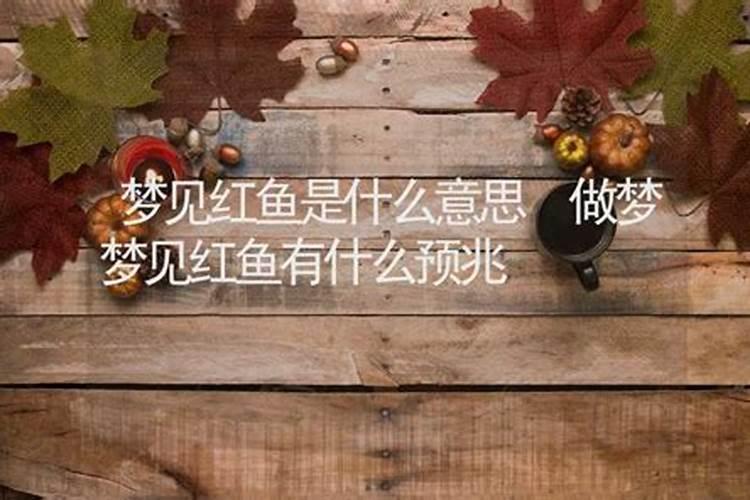 梦见大红鱼是什么意思