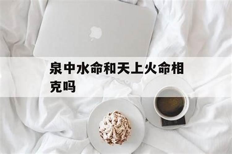 鼠2025年犯太岁吗