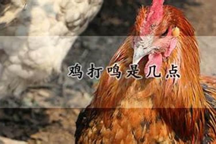 农历一九八三年十二月初九生猪女2026年每月运势与婚姻
