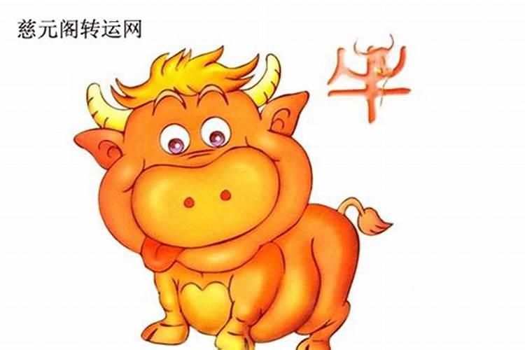 1949年属牛什么命 属牛1949年出生命运？