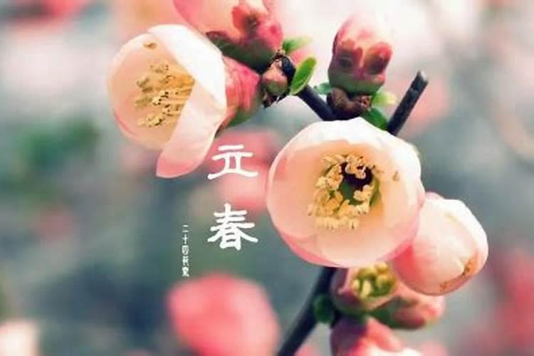 2023立春交运遇见相克属相怎么化解