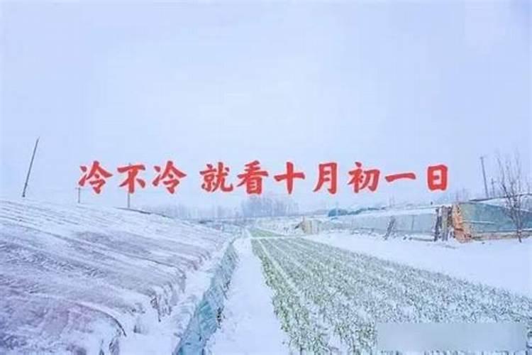 属狗人出生月的命运