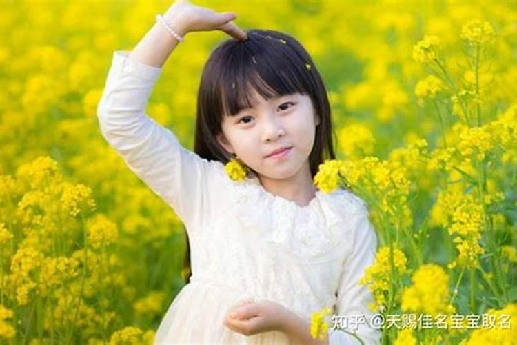 本命年为啥不能结婚