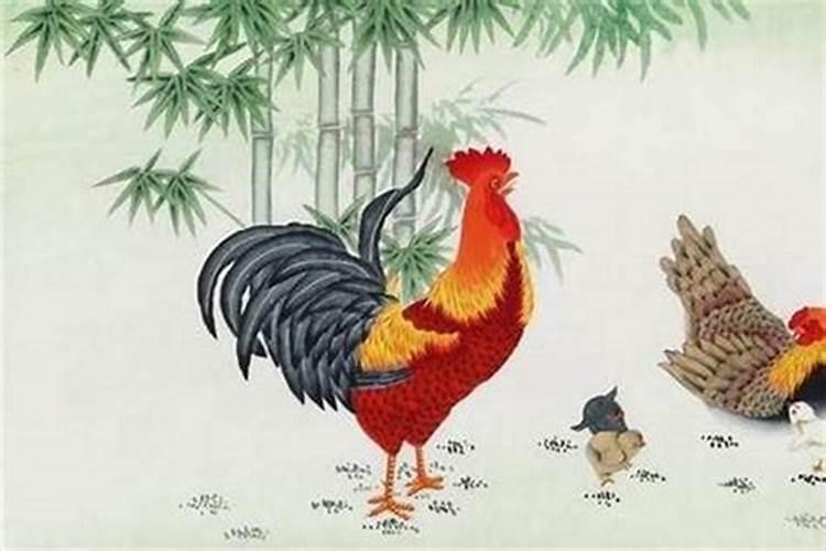 己酉日柱见辛丑流年,己酉日柱男命