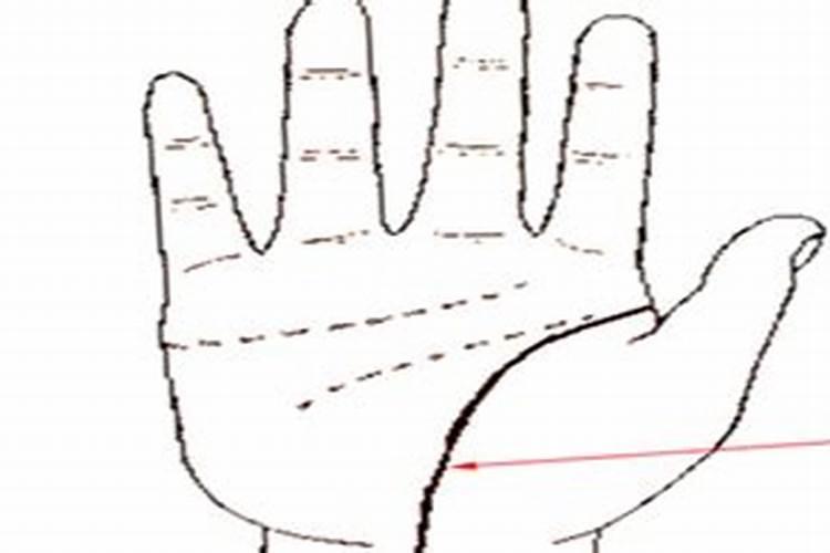 八字排盘怎么看？
