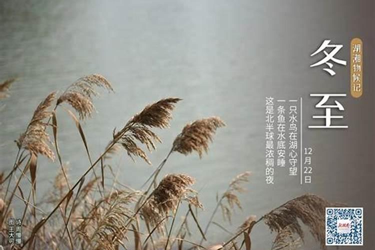 2020年属鸡破太岁是什么意思,鼠年犯太岁要如何转运？