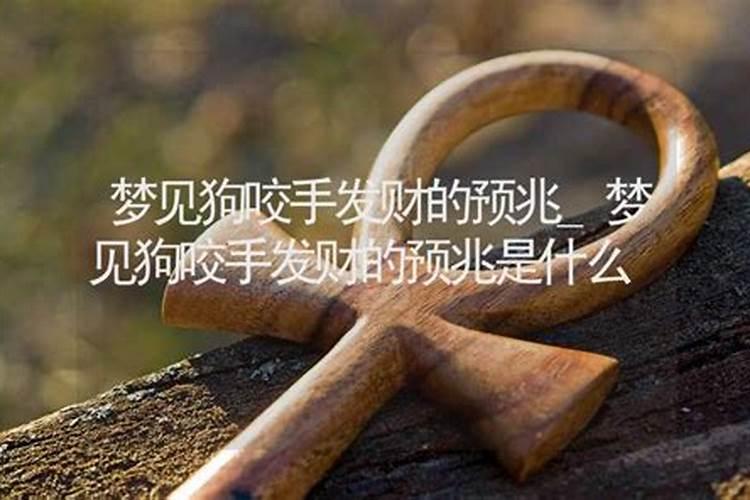 梦见狗咬手是要发财