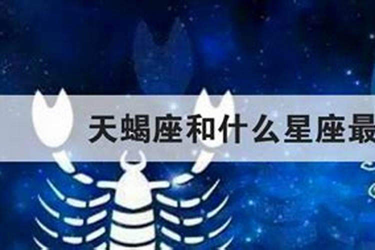 属猪男属马女配吗
