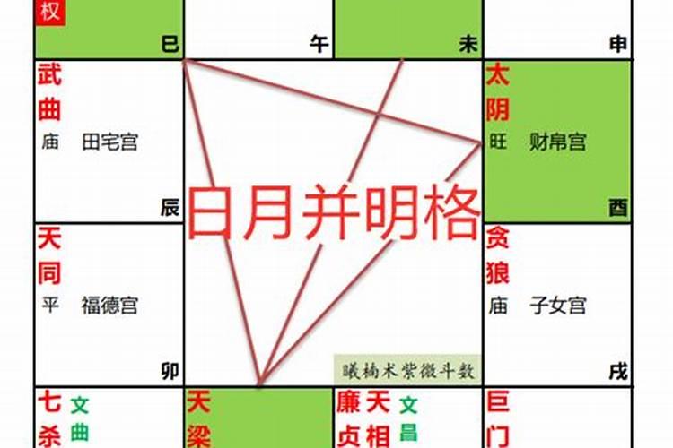 2025年为什么龙也犯太岁呢