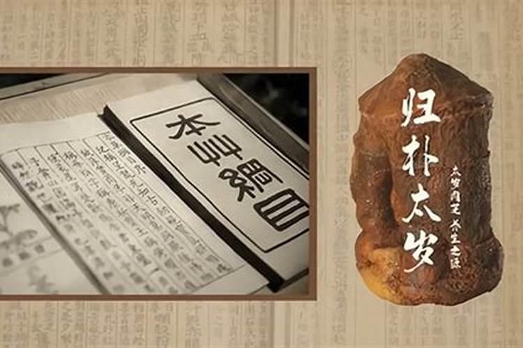 属鼠的人性格生肖鼠的性格和脾气缺点