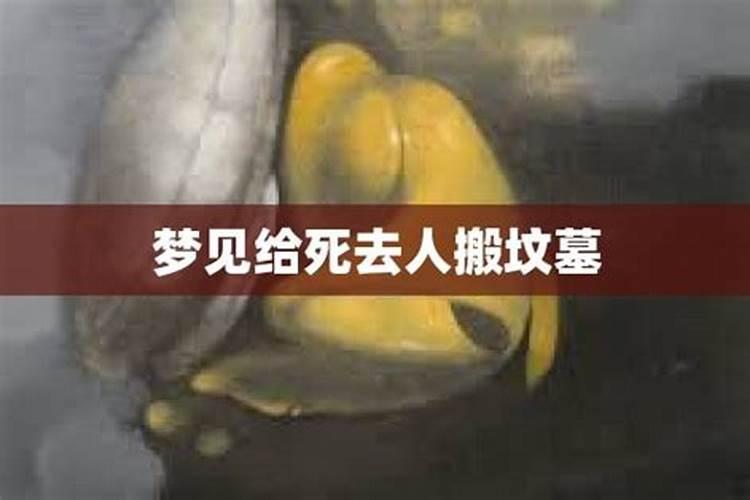 川字掌是什么？