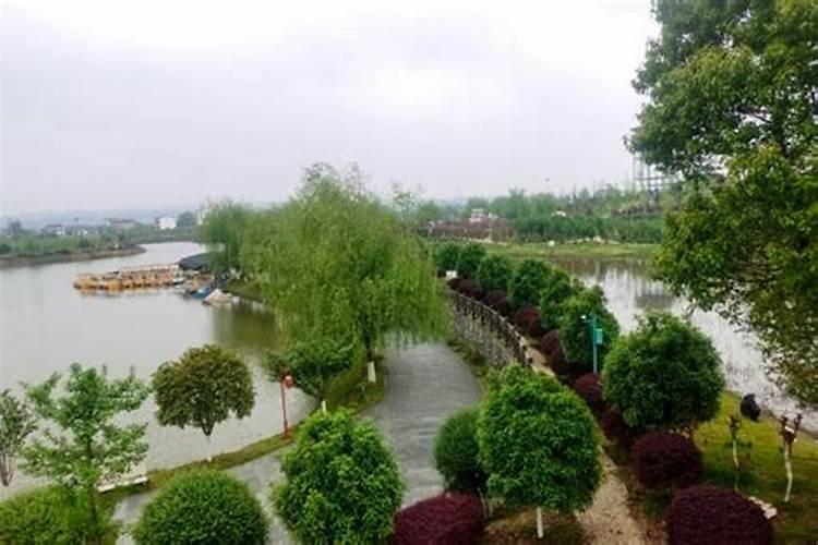 梦的五行属性是属什么