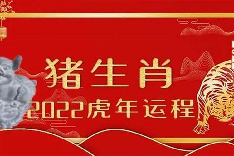 属猪的人命运好不好,猪年出生的人的命运