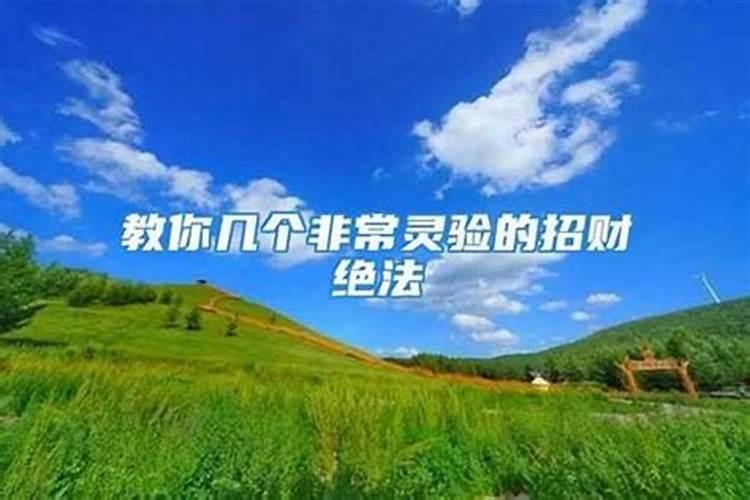 84属鼠女最吉利数字是什么2024