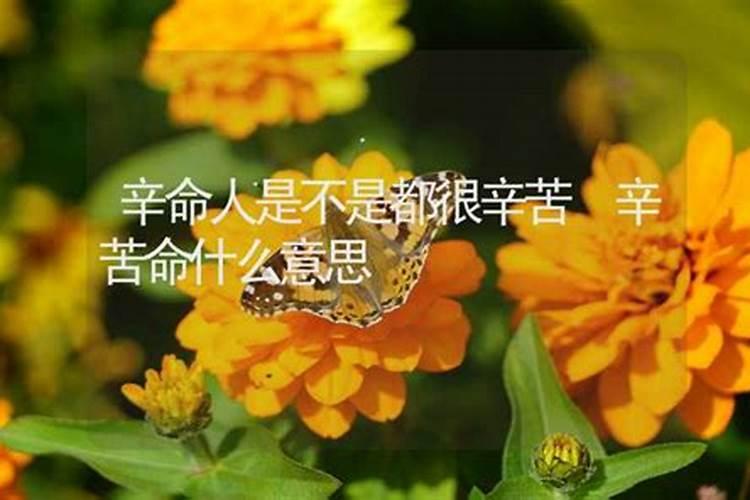 创家之命是什么意思？