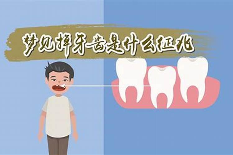 虎命人的本命年要避什么生肖