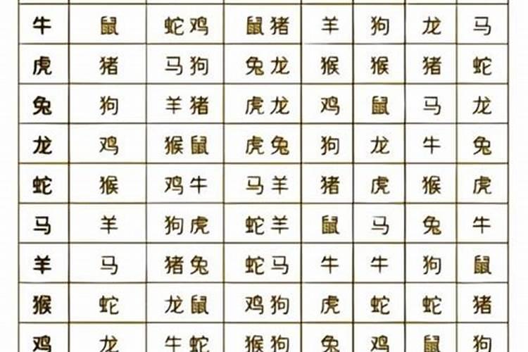 梦见老鼠和猫是什么意思