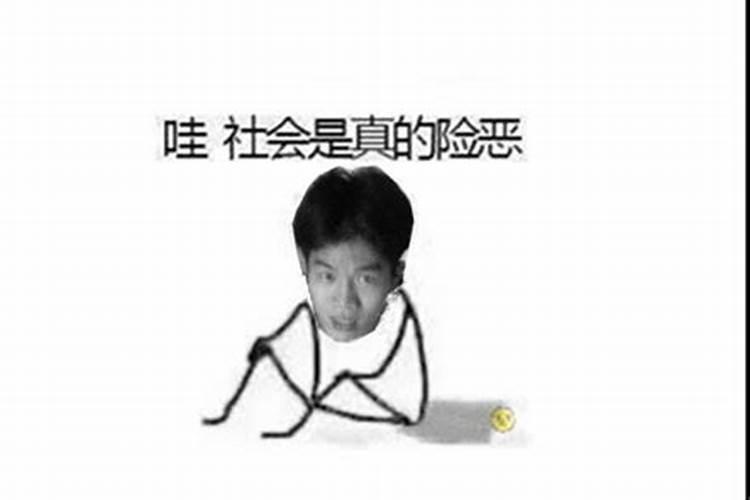 2025属马全年综合运势 属马人2025年每月运势