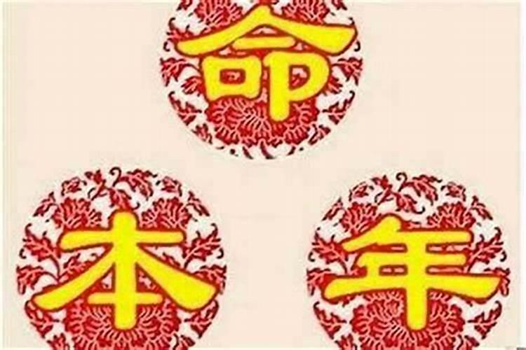 梦见成群成群的鸟在天上飞的预兆