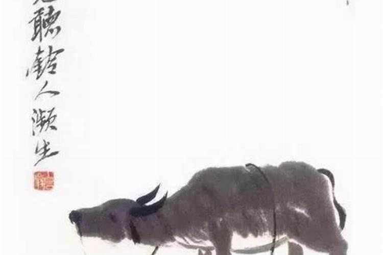 兰州拉面过年是几月份