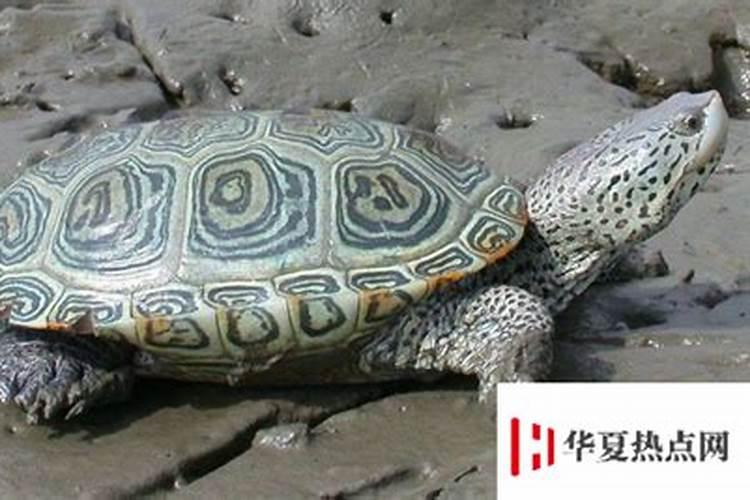 两个人婚前算八字不合怎么办 怎么化解？